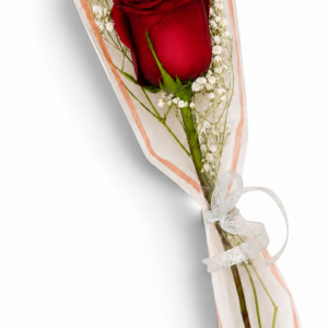 Rosa Individual