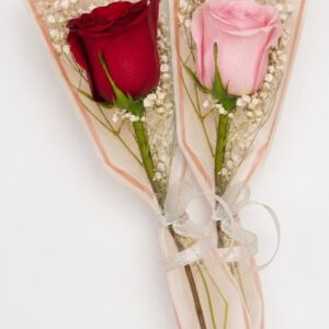 Rosa para Regalar